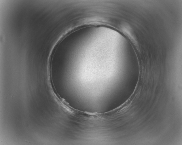 X0000073391384200608111221