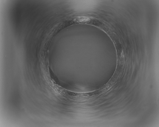 X0000073391441200608111220