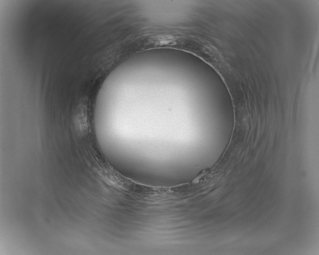 X0000073391442200608111220