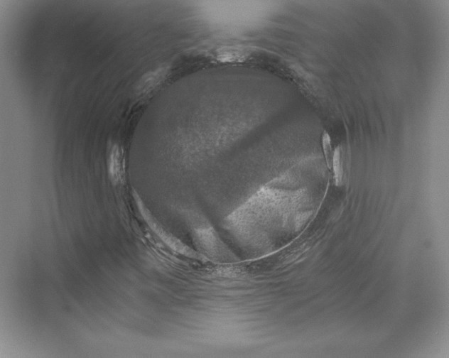 X0000073391443200608111220