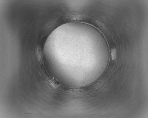 X0000073391444200608111220