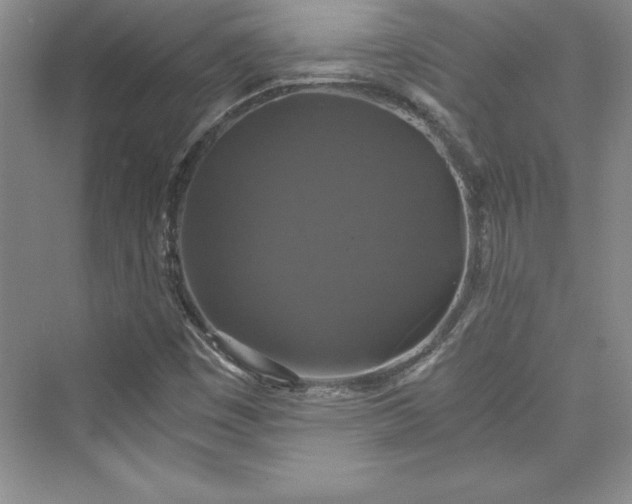 X0000073391449200608111220