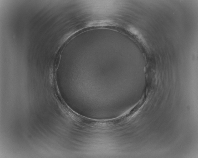 X0000073391457200608111220