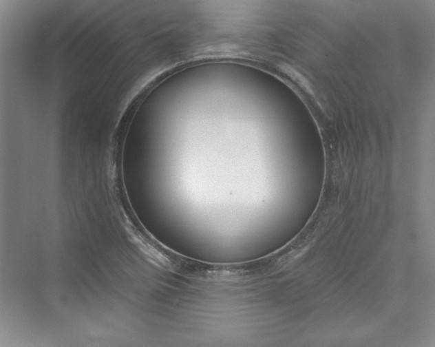 X0000073391458200608111220