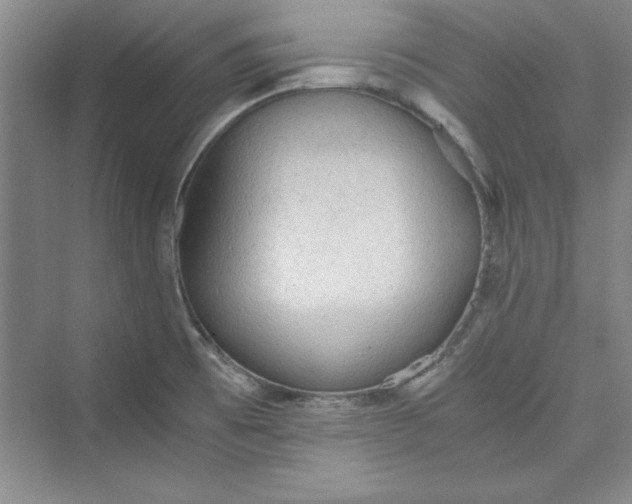 X0000073391473200608111220