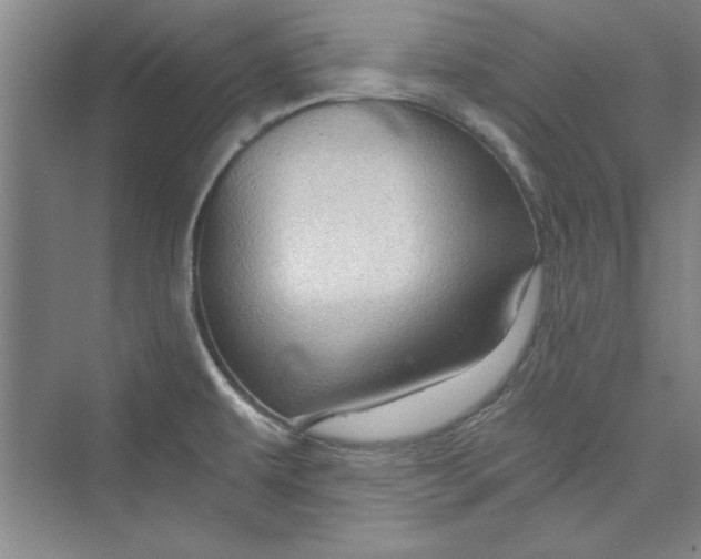 X0000073391479200608111220