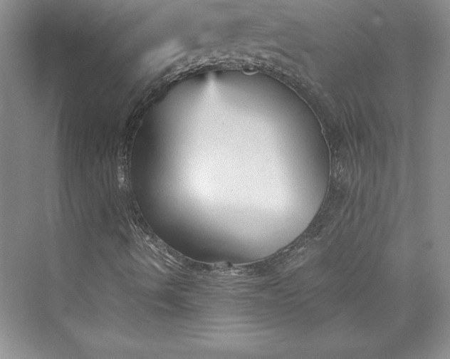 X0000073391490200608111219