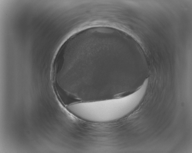 X0000073391527200608111219