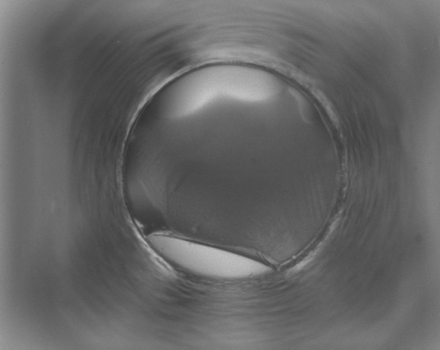 X0000073391529200608111219