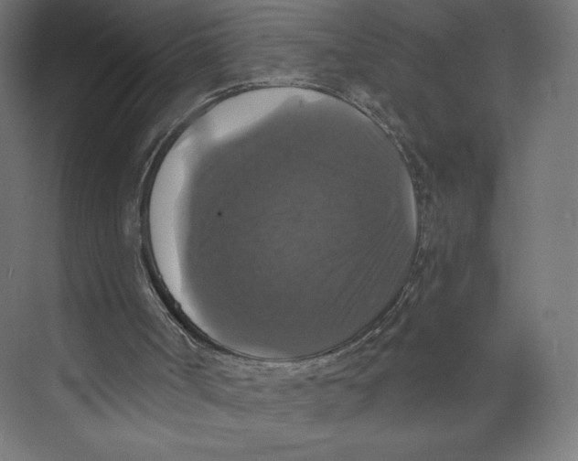X0000073390002200608181015