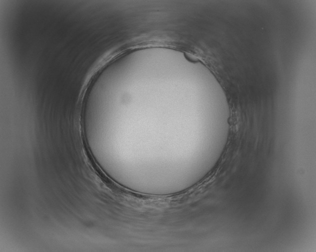 X0000073390004200608181015
