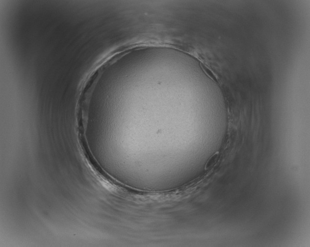 X0000073390005200608181015