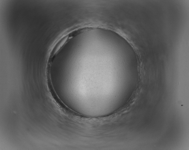 X0000073390007200608181015