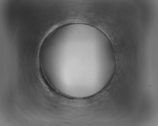 X0000073390008200608181015