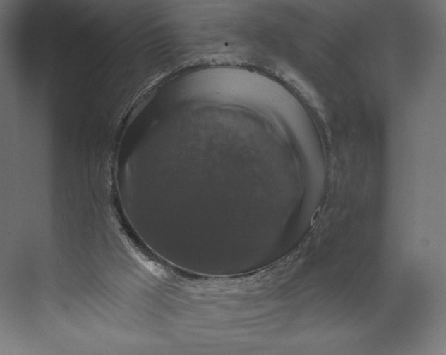 X0000073390009200608181015