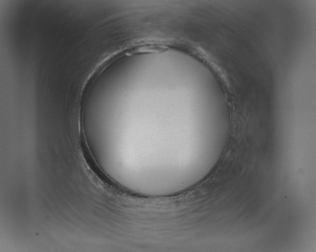 X0000073390011200608181015