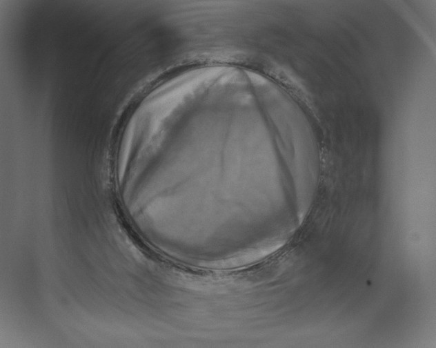 X0000073390012200608181015