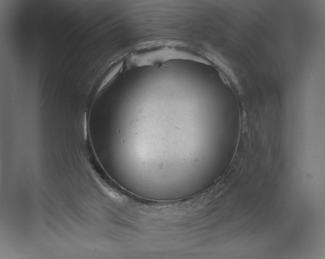 X0000073390013200608181015