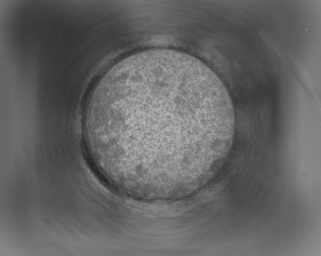 X0000073390016200608181015