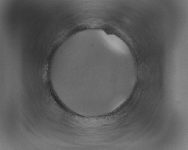 X0000073390018200608181015