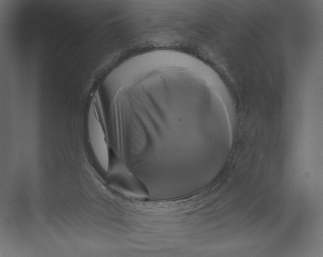 X0000073390019200608181015