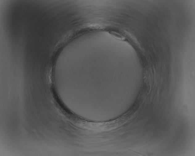 X0000073390023200608181015