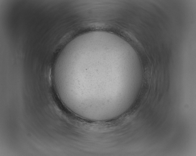 X0000073390024200608181015