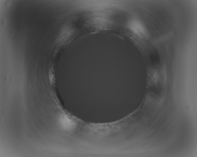 X0000073390029200608181015
