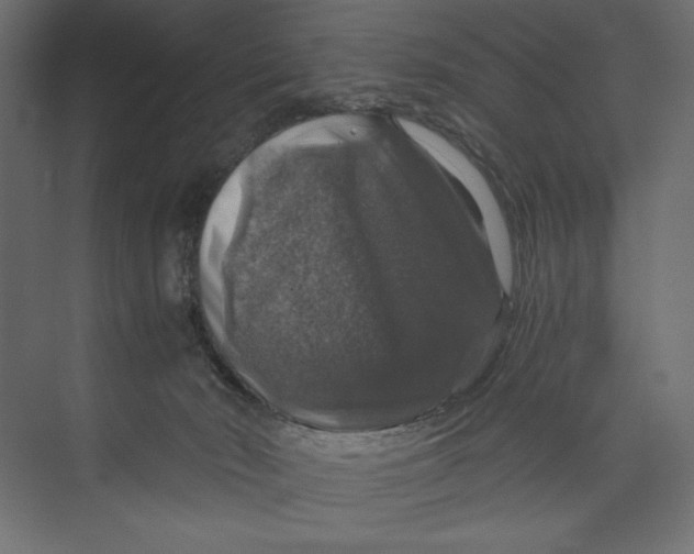 X0000073390030200608181015
