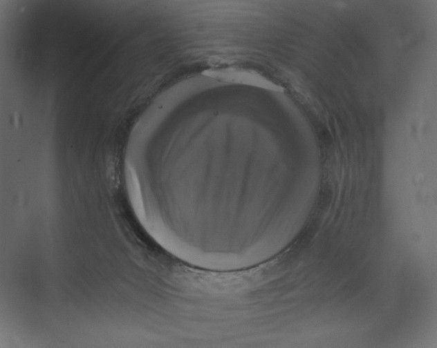 X0000073390031200608181015