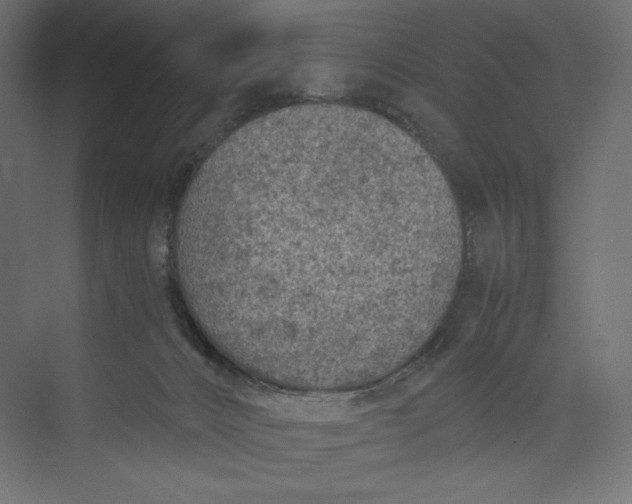 X0000073390032200608181015