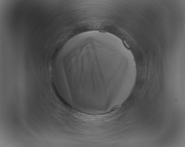 X0000073390035200608181015