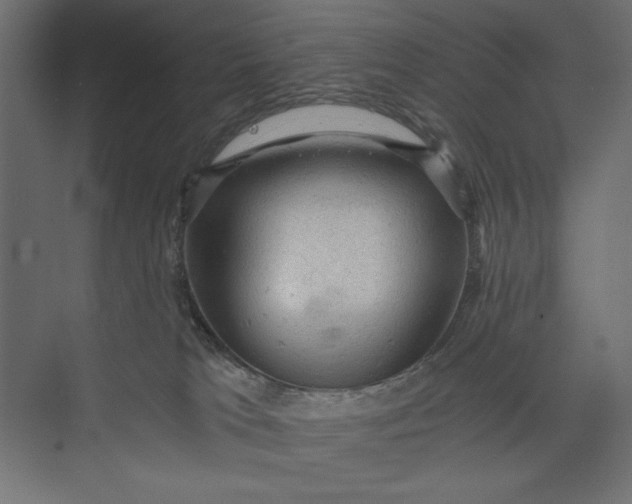 X0000073390037200608181015