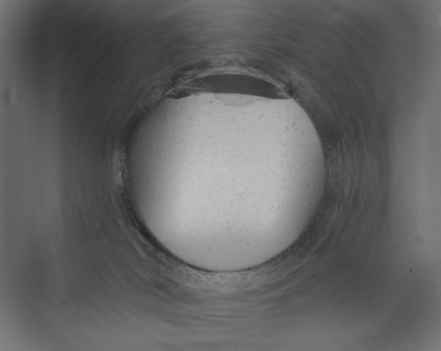 X0000073390038200608181015