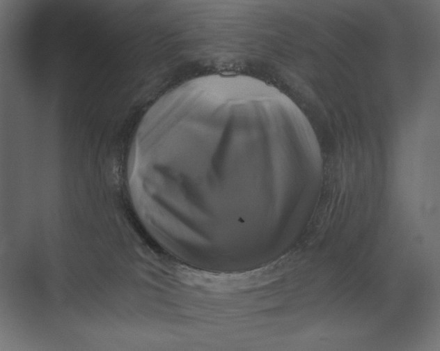 X0000073390039200608181015