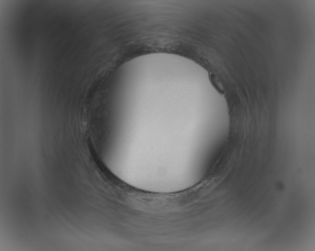 X0000073390040200608181015