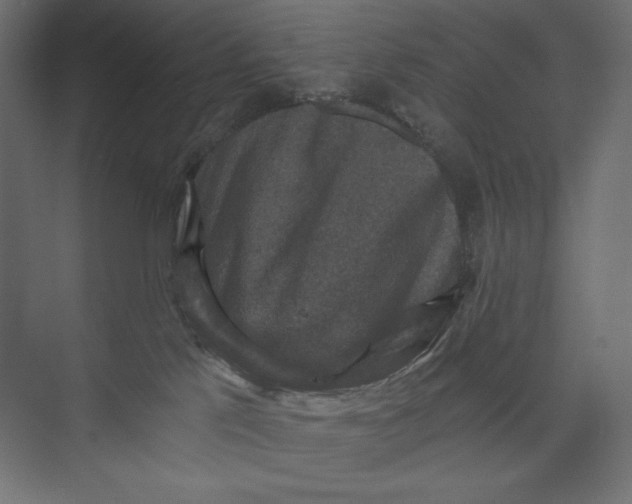X0000073390041200608181015