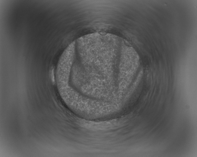 X0000073390042200608181015
