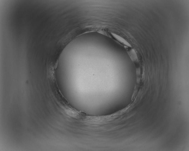 X0000073390045200608181015