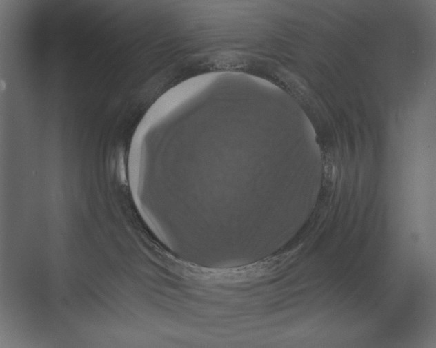 X0000073390046200608181015