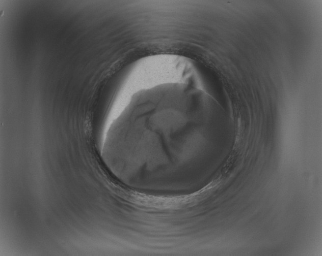 X0000073390048200608181015