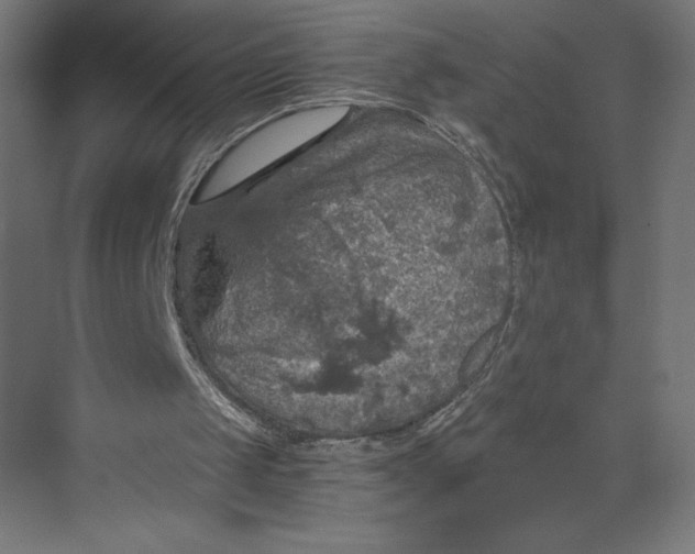 X0000073390049200608181014