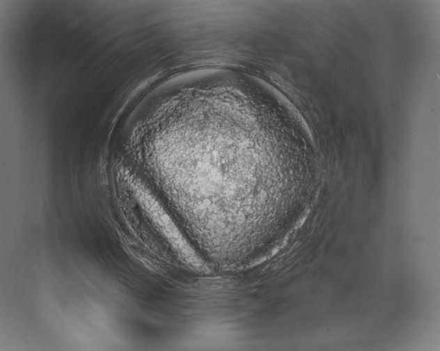 X0000073390050200608181014
