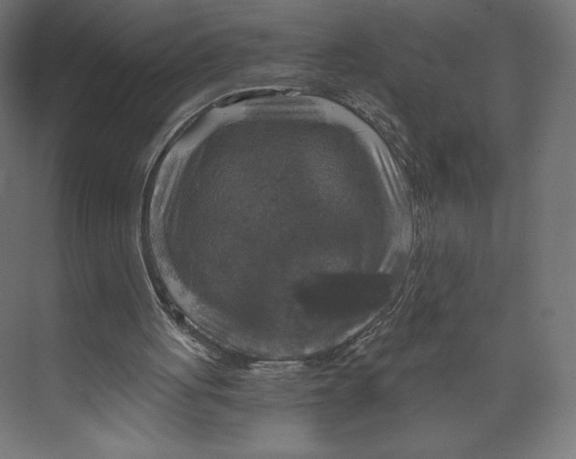 X0000073390051200608181014