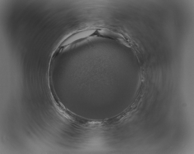 X0000073390052200608181014