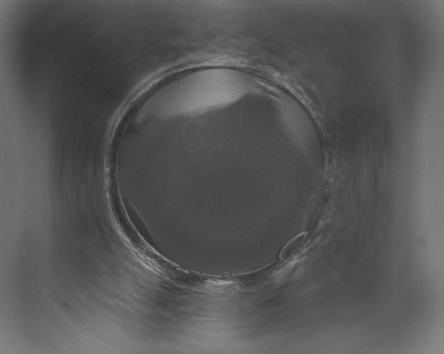 X0000073390055200608181014