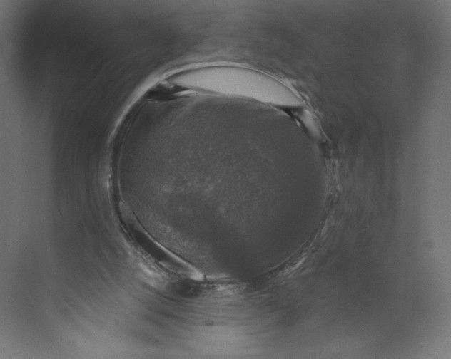 X0000073390056200608181014