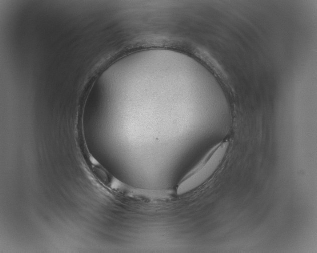 X0000073390058200608181014