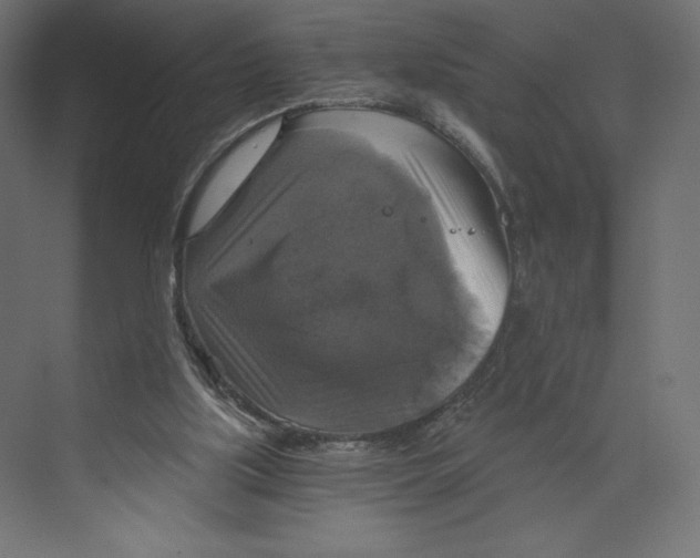 X0000073390059200608181014