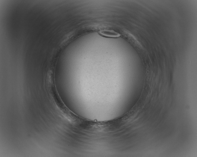 X0000073390071200608181014